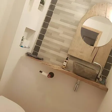 Studio tout confort entre vignes et prés Saint-Didier-sur-Beaujeu Extérieur photo