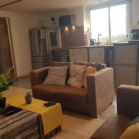 Studio tout confort entre vignes et prés Saint-Didier-sur-Beaujeu Extérieur photo